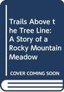 Trails Above the Tree Line A Story of a Rocky Mountain Meadow