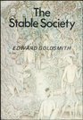 The stable society Its structure and control  towards a social cybernetics