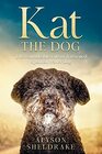 Kat the Dog The remarkable tale of a rescued Spanish water dog