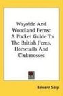 Wayside And Woodland Ferns A Pocket Guide To The British Ferns Horsetails And Clubmosses