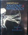 Essentials of Anatomy and Physiology