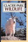 Glacier Park Wildlife A Watcher's Guide Includes Listings for Waterton Lakes National Park