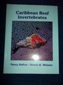 A Field Guide to Caribbean Reef Invertebrates A Special Publication of the Monterey Bay Aquarium Foundation