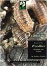A Key to the Woodlice of Britain and Ireland