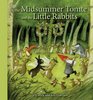 The Midsummer Tomte and the Little Rabbits A Daybyday Summer Story in Twentyone Short Chapters