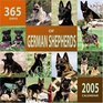 365 Days of German Shepherds 2005 Wall Calendar