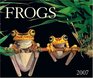 Frogs 2007