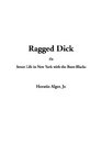 Ragged Dick or Street Life in New York With the BootBlacks
