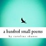 a hundred small poems by caroline skanne