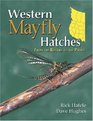 Western Mayfly Hatches From The Rockies To The Pacific