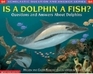 Is a Dolphin a Fish? Questions and Answers about Dolphins