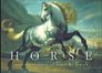 Horse: From Noble Steeds to Beasts of Burden