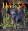 Hansa The True Story of an Asian Elephant Baby