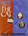 Mammalian Anatomy The Cat