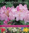 Rhododendrons An illustrated guide to varieties cultivation and care with stepbystep instructions and over 135 beautiful photographs