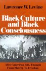 Black Culture and Black Consciousness AfroAmerican Folk Thought from Slavery to Freedom