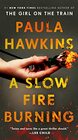 A Slow Fire Burning A Novel