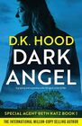 Dark Angel (Detective Beth Katz, Bk 1)