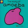 The Story of Amoeba