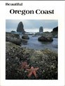 Beautiful Oregon Coast