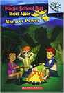 Monster Power  Exploring Renewable Energy A Branches Book