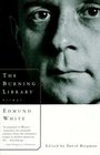 The Burning Library  Essays