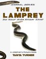 THE LAMPREY Do Your Kids Know This?: A Children\'s Picture Book (Amazing Creature Series)