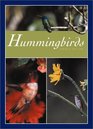 Hummingbirds Jewels on Air