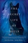 The Secret Life of Souls A Novel