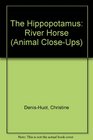 The Hippopotamus River Horse