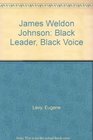James Weldon Johnson Black Leader Black Voice