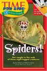 Spiders