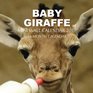 Baby Giraffe Mini Wall Calendar 2017 16 Month Calendar
