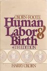 Human Labour and Birth