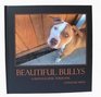 Beautiful Bullys A Photographic Portrayal