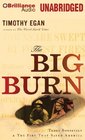 The Big Burn: Teddy Roosevelt and the Fire That Saved America