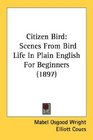 Citizen Bird Scenes From Bird Life In Plain English For Beginners