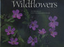 Wildflowers  A Collection of US Commemorative Stamps