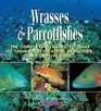 Wrasses  Parrotfishes The Complete Illustrated Guide to Their Identification Behaviors and Captive Care