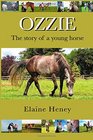 Ozzie  The Story of a Young Horse