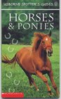 Horses  Ponies