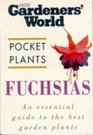 Fuchsias