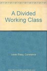 A Divided Working Class