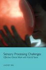 Sensory Processing Challenges Effective Clinical Work with Kids  Teens