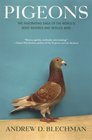 Pigeons The Fascinating Saga of the World's Most Revered and Reviled Bird