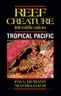 Reef Creature Identification Tropical Pacific