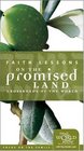 Faith Lessons on the Promised Land