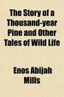 The Story of a Thousandyear Pine and Other Tales of Wild Life