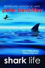 Shark Life True Stories About Sharks  the Sea