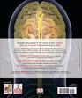 The Human Brain Book An Illustrated Guide to its Structure Function and Disorders